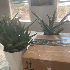 Bundle for ate Adine